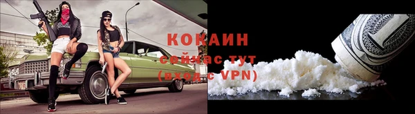 сатива Гусиноозёрск