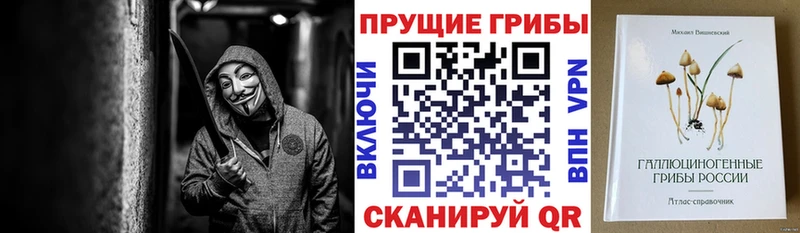 Галлюциногенные грибы Psilocybine cubensis  Череповец 