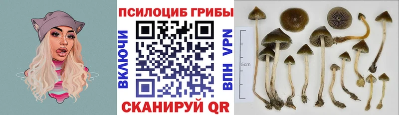 Псилоцибиновые грибы мухоморы Череповец