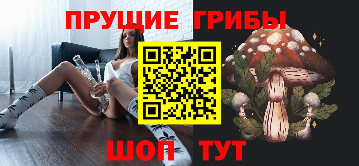 Псилоцибиновые грибы мицелий  Псилоцибиновые грибы Cubensis  Череповец  Вход с VPN 